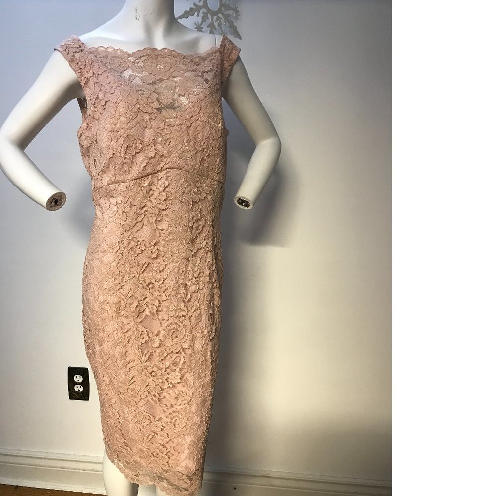 NWT Le Chateau PLUS SIZE Blush Peach Salmon Pink Sheer Floral Mesh Bodycon dress